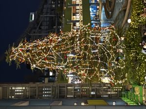 星空とイルミネーションのメイン画像