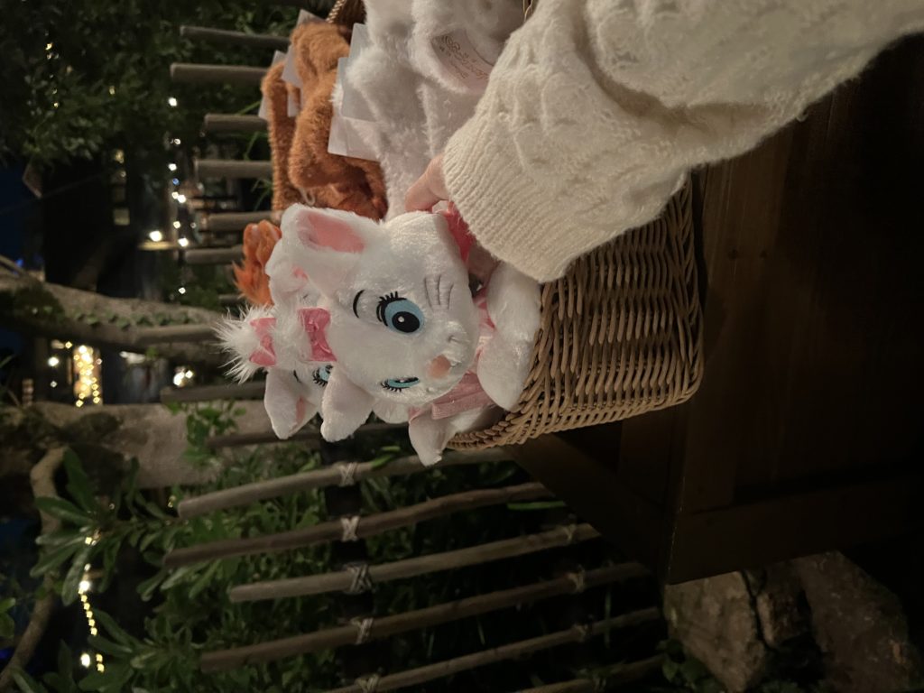 アフ５ディズニー🐈🤍🎀のメイン画像