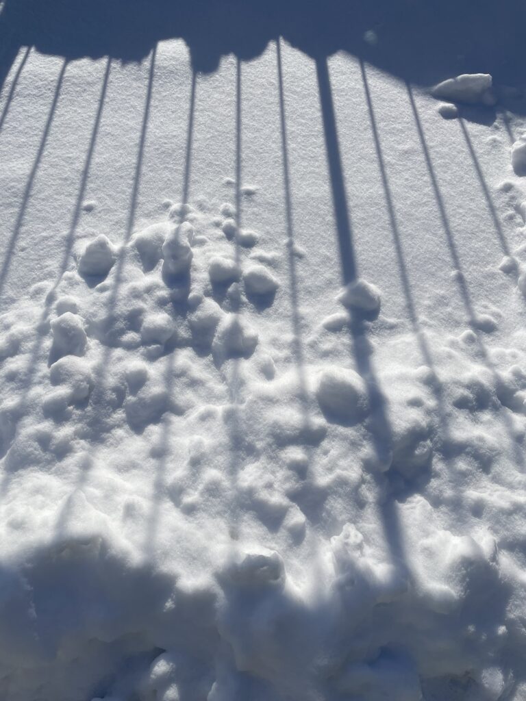 岩手のメイン画像