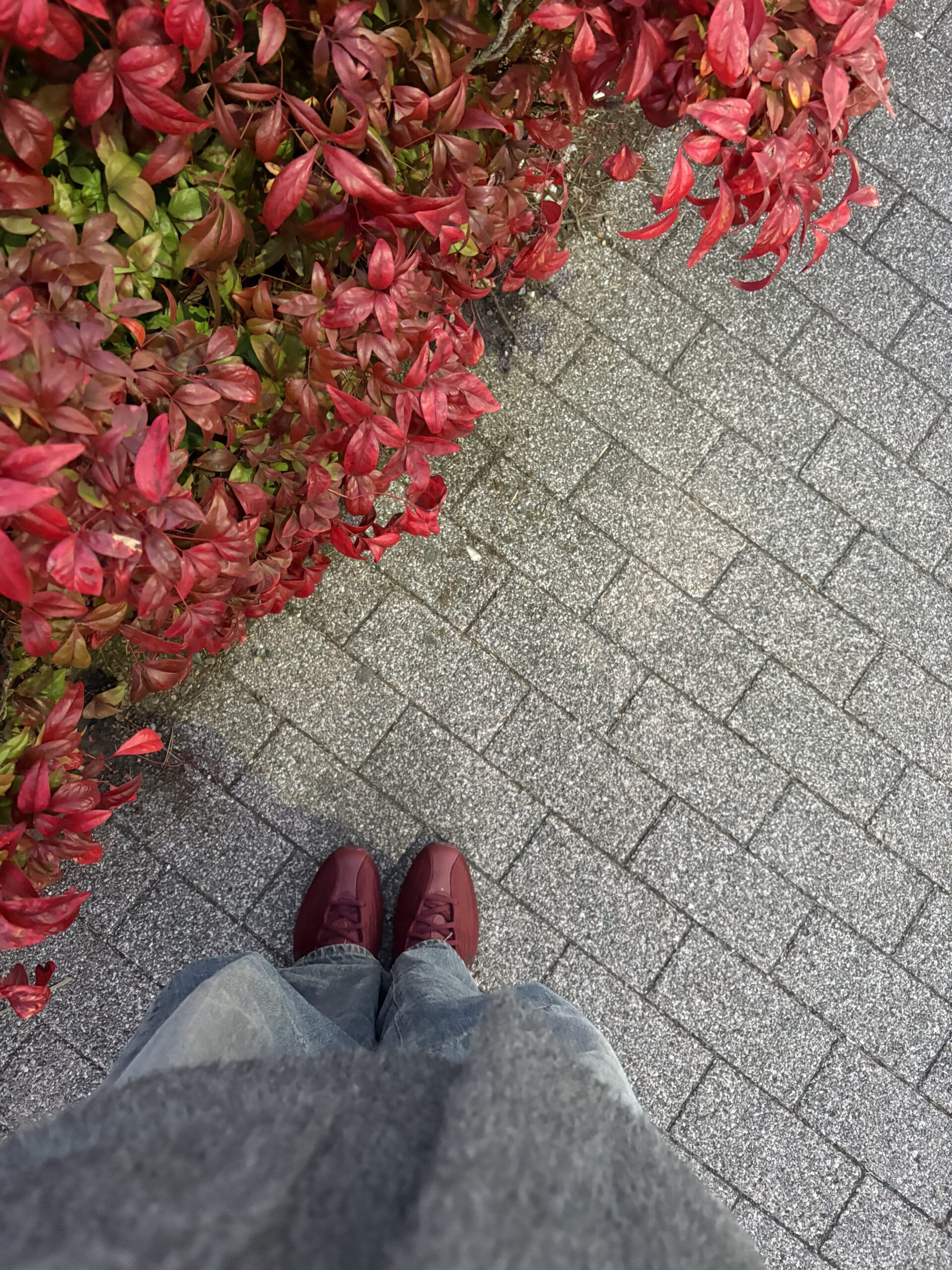 ニュースニーカー👟