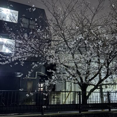 ひらひらのイメージ画像