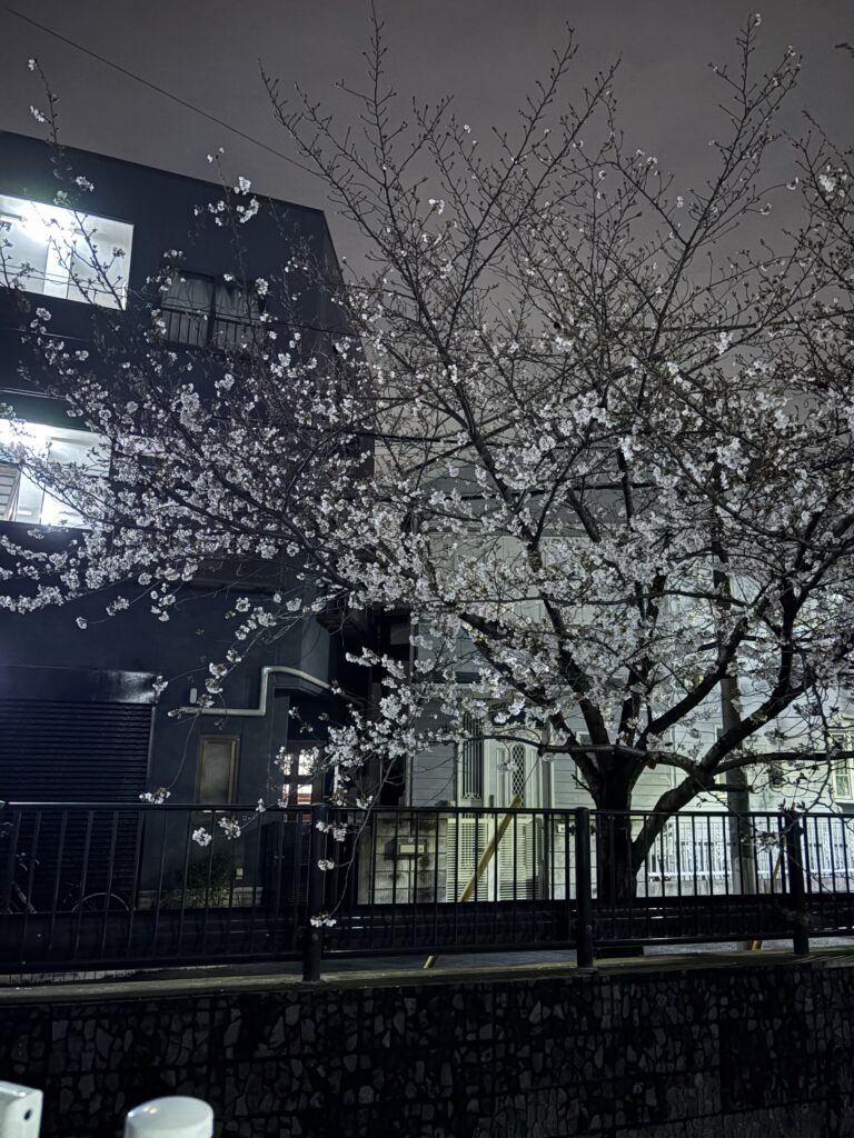 ひらひらのメイン画像