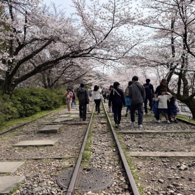 USJ &桜の京都旅のイメージ画像