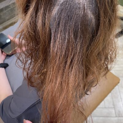 スタッフカラーのイメージ画像