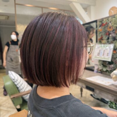 プレトワカラーのイメージ画像