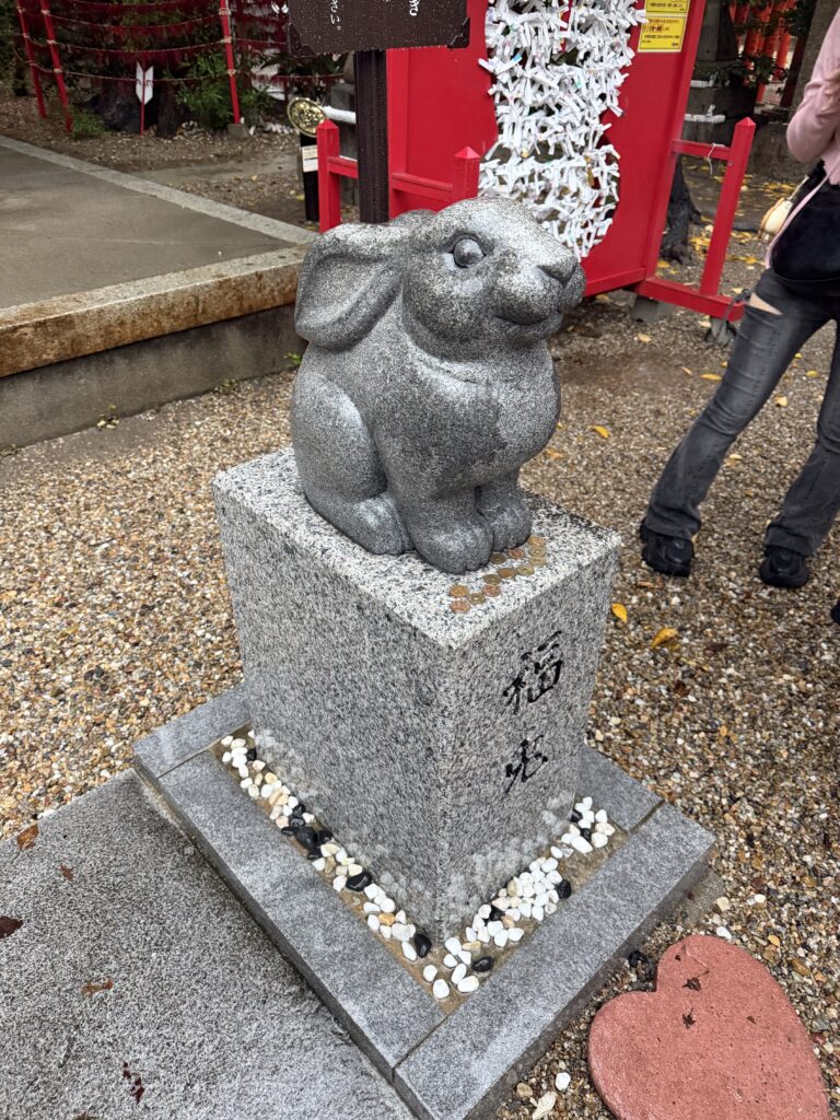 福兎のメイン画像