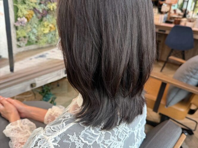 NEW⭐︎プレトワカラーのイメージ画像
